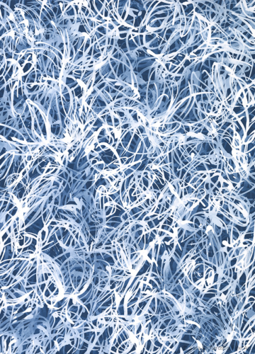 The layered brushwork and luminous blue in "Blue Chiffon No.4" creates a shifting atmospheric field Contemporary abstract blue and white painting for collectors curators and advisorsby fine artist Sara Richardson Blue Chiffon No.4
