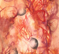 Confection One<br/>
Mixed media painting on paper Original abstract watercolor by contemporary artist Sara Richardson