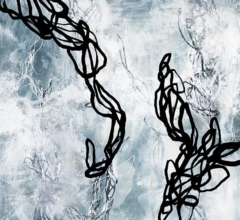 Chiffon No.2 - Expanded Veil Original art abstract nature painting by contemporary artist Sara Richardson