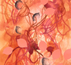 Confection Two<br/>
Mixed media painting on paper Sara Richardson Contemporary organic mixed media art