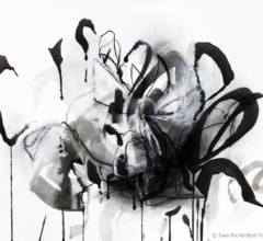Contemporary abstract nature drawing by fine artist Sara Richardson