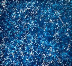 Blue Chiffon No.2 - Expanded Veil<br/>
Acrylic on stretched canvas 48w x 48h in. Acrylic abstract nature painting by contemporary artist Sara Richardson Blue Chiffon No.2 - Expanded Veil