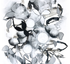 Contemporary abstract nature drawing by artist Sara Richardson