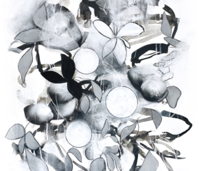 Melodic Minor No.12<br/>
Mixed media on 300gsm paper 22w x 30h in.<br/><u><a href="https://www.shockandslaw.com/contact-richardson-fine-art" target="_blank" rel="noopener">original & licensing available</a></u> Contemporary abstract nature drawing by artist Sara Richardson