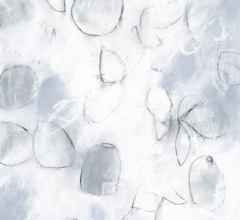 Float No.6 - Quiet Suspension<br/>
Mixed media on 570gsm paper 11w x 14h in. Contemporary abstract nature inspired botanical drawing by fine artist Sara Richardson