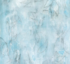 Contemporary flora and fauna drawing by fine artist Sara Richardson