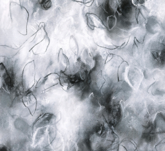 Modern abstract floral inspired artwork and paintings by artist Sara Richardson