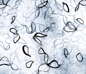 Chiffon No. 8<br/>
Acrylic on 640gsm paper 22w x 30h in.<br/><u><a href="https://www.shockandslaw.com/contact-richardson-fine-art" target="_blank" rel="noopener">original available</a></u> Painting Chiffon No.8 by contemporary artist Sara Richardson