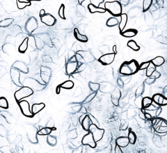 Chiffon No. 10 - Open Veil<br/>
Acrylic on 640gsm paper 22w x 30h in. Modern abstract plants and foilage artwork by artist Sara Richardson