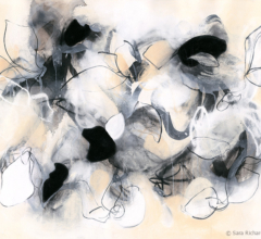 Sara Richardson contemporary artist abstract botanical nature inspired art and charcoal drawings