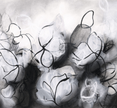 Sara Richardson fine artist Sarah Richardson contemporary abstract nature drawings and artwork