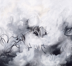 Contemporary abstract nature inspired charcoal artwork by fine artist Sara Richardson Sarah Richardson