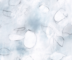Float No.4<br/>
Mixed media on paper | <a href="https://www.shockandslaw.com/contact-richardson-fine-art" target="_blank" rel="noopener">inquire about this piece</a> Contemporary abstract nature inspired botanical drawing by fine artist Sara Richardson