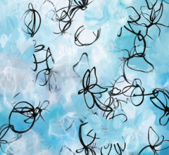 Contemporary abstract nature inspired painting in blues and neutrals by professional artist Sara Richardson Sarah Richardson wall decor