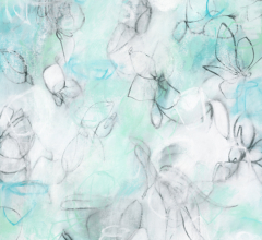 Float No.11 - Soft Suspension<br/>
Mixed media on 400gsm paper 18w x 24h in. Contemporary abstract botanic charcoal drawing by fine artist Sara Richardson