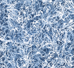 Blue Chiffon No.6<br />
Acrylic on stretched canvas 24w x 30h in. Contemporary abstract blue and white nature painting by fine artist Sara Richardson Blue Chiffon No.6 art curator fine art advisory