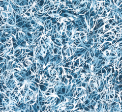 Blue Chiffon No.7<br />
Acrylic on stretched canvas 24w x 30h in. Contemporary abstract blue and white nature painting by fine artist Sara Richardson Blue Chiffon No.7 art curator fine art advisory