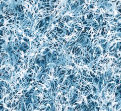 Blue Chiffon No.8<br />
Acrylic on stretched canvas 24w x 30h in. Contemporary abstract blue and white nature painting by fine artist Sara Richardson Blue Chiffon No.7 art curator fine art advisory